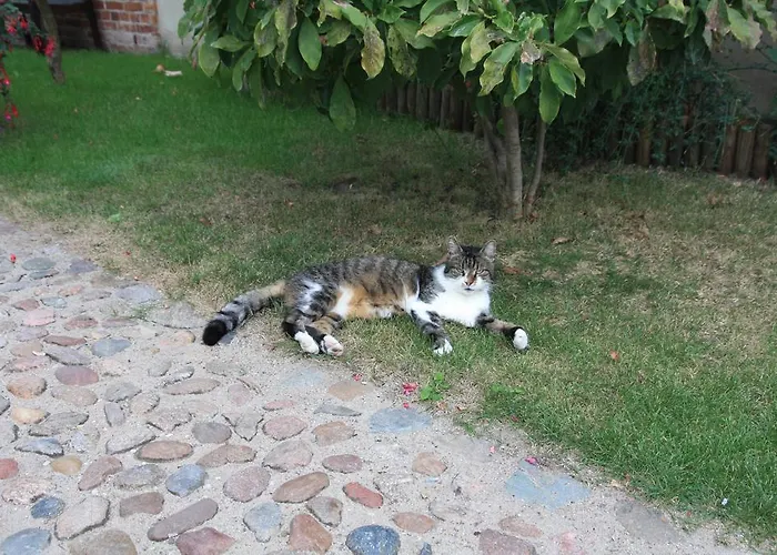 Pensionat Durkop Havelberg